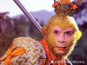 孙悟空吃瓜子是哪一集,孙悟空吃瓜子的奇幻之旅