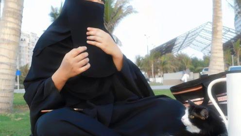 娱乐吃瓜君 网红,网红背后的故事与真相