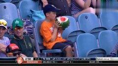 吃瓜群众奇葩娱乐,奇葩娱乐现象盘点