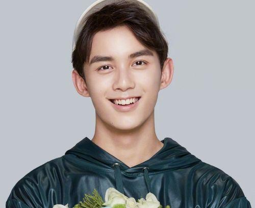 娱乐圈吃瓜指南吴磊,娱乐圈吃瓜指南中的青春偶像